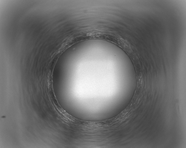 X0000080111012200612080949