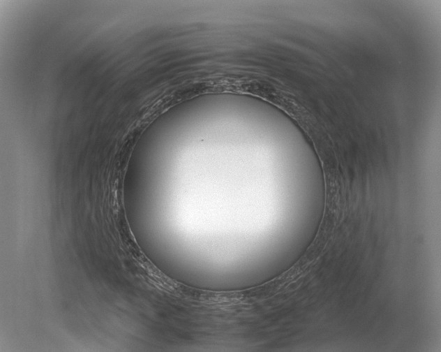 X0000080111013200612080949