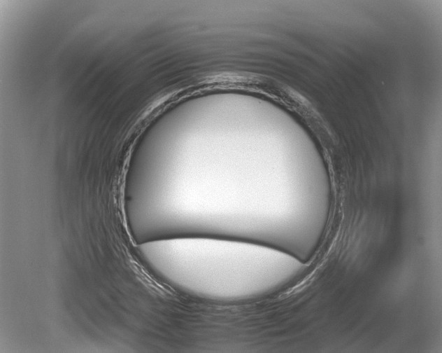 X0000080111017200612080949