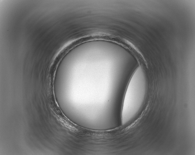 X0000080111021200612080950