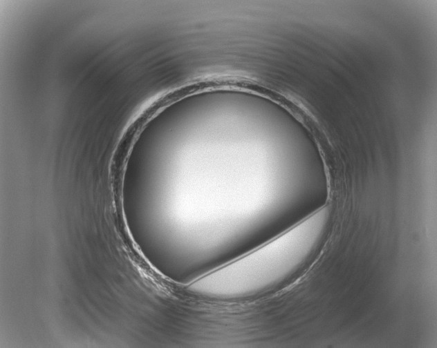 X0000080111022200612080950