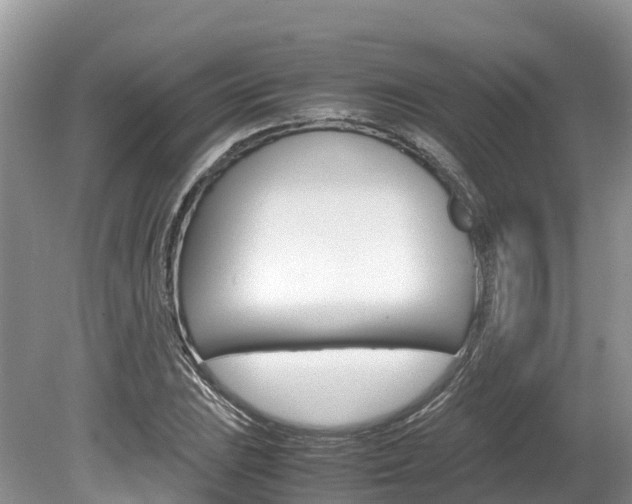 X0000080111023200612080950