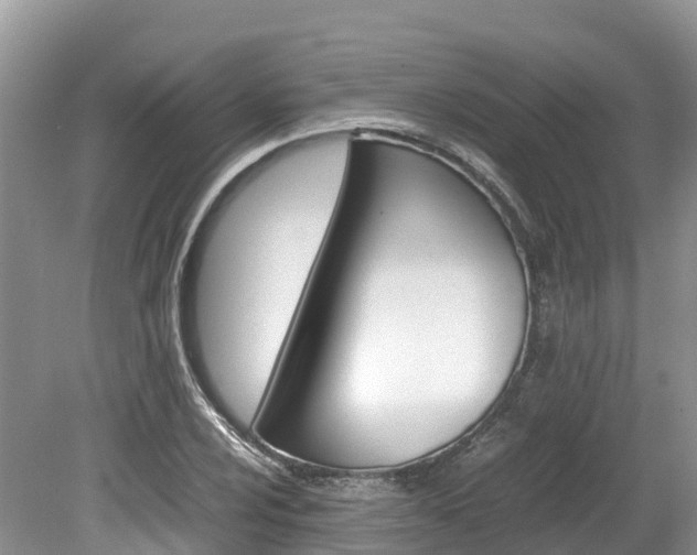 X0000080111024200612080950