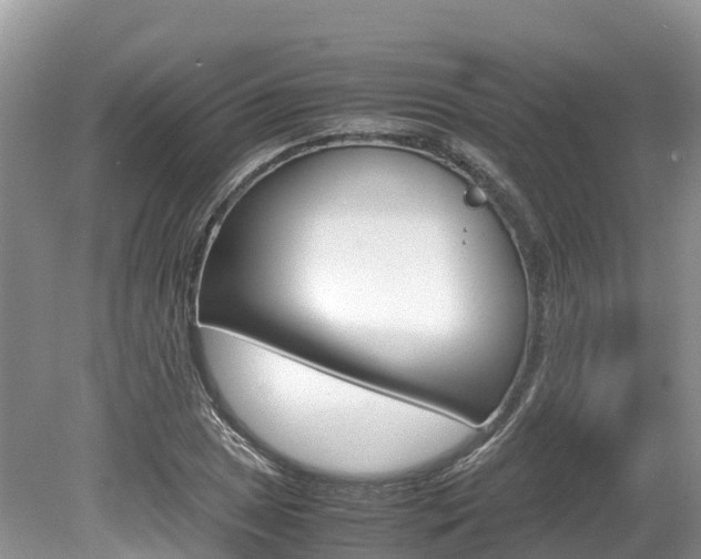 X0000080111025200612080950