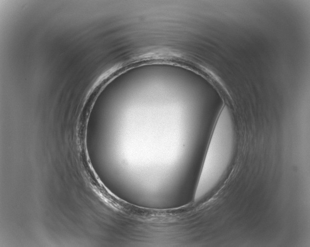 X0000080111026200612080950