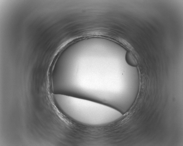 X0000080111031200612080950
