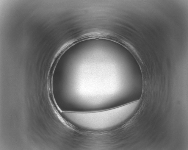 X0000080111034200612080950