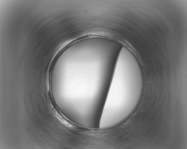 X0000080111036200612080950