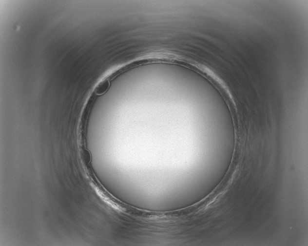 X0000080111037200612080950