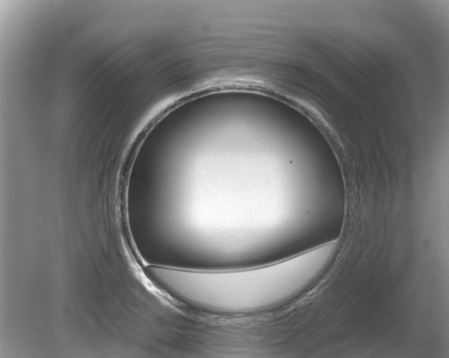 X0000080111038200612080950