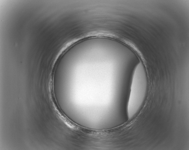 X0000080111040200612080950