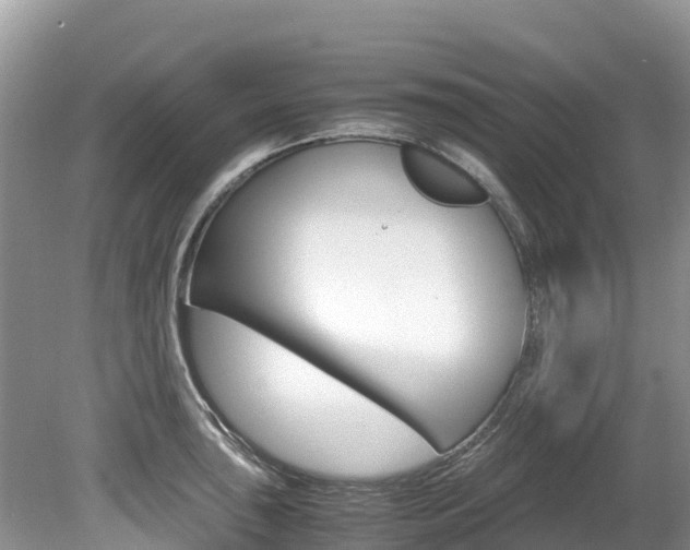 X0000080111043200612080950