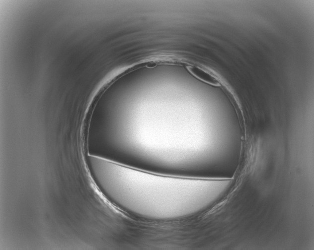 X0000080111045200612080950