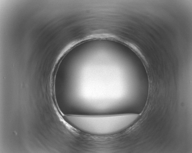 X0000080111046200612080950