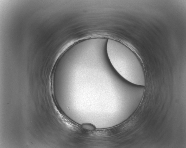 X0000080111047200612080950