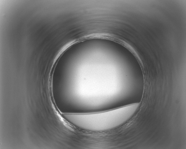 X0000080111050200612080950