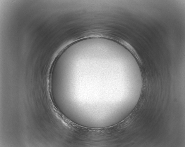 X0000080111051200612080950