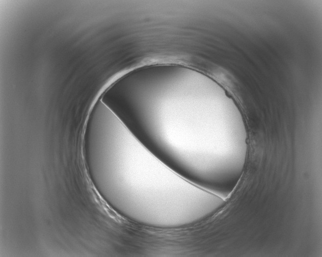 X0000080111052200612080950