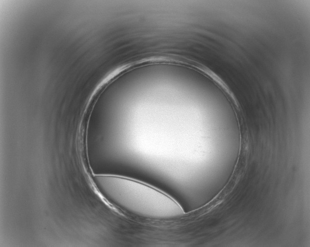 X0000080111053200612080950