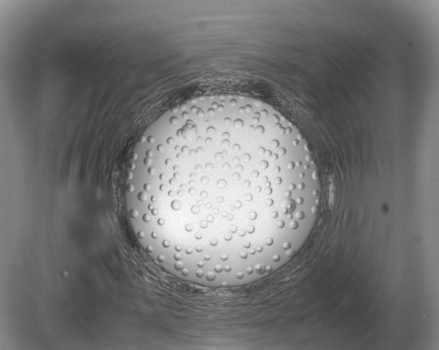 X0000080111059200612080949