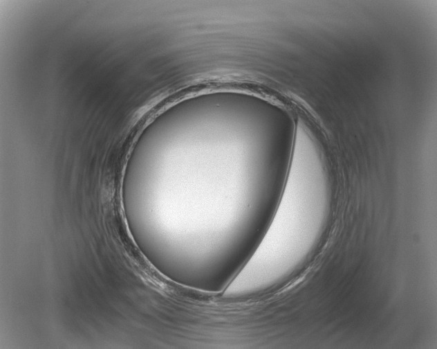 X0000080111065200612080949