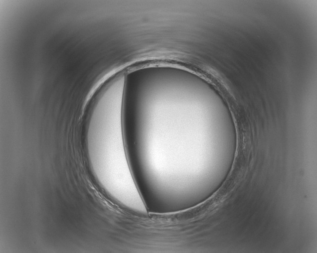 X0000080111069200612080949