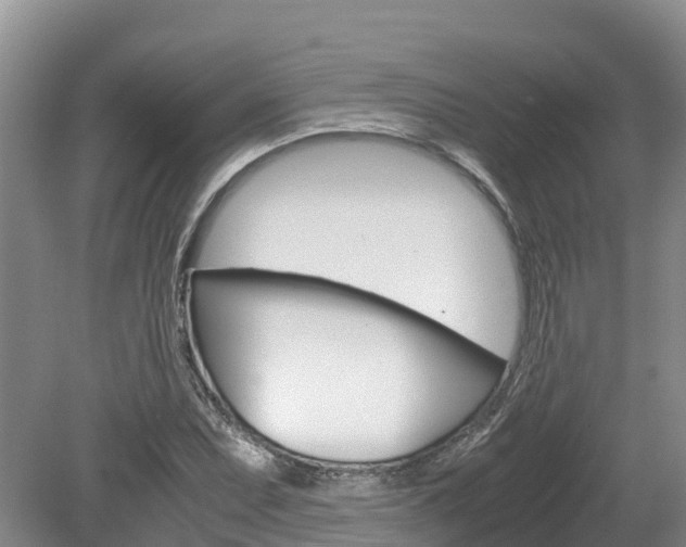 X0000080111071200612080949
