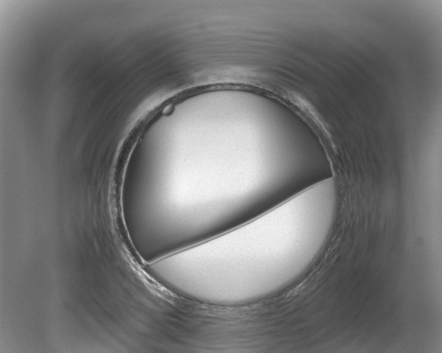 X0000080111072200612080949