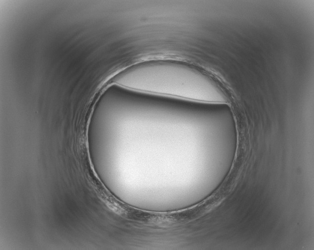 X0000080111073200612080949