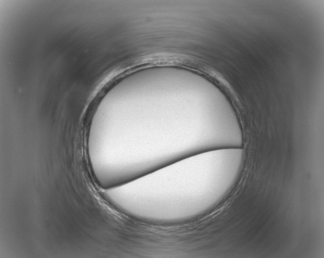 X0000080111075200612080949