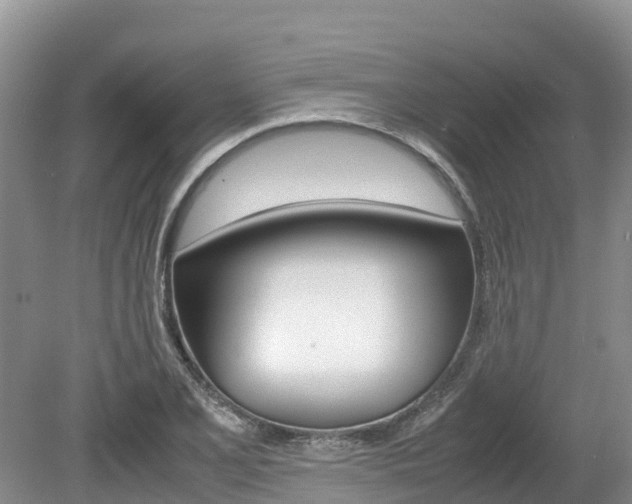 X0000080111077200612080949