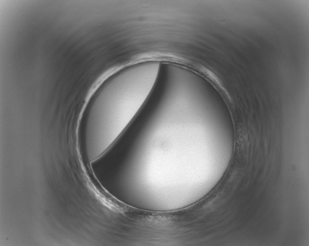 X0000080111082200612080949