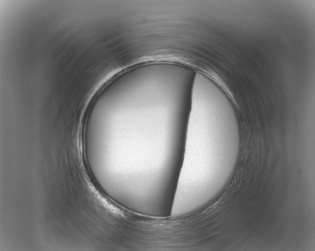 X0000080111084200612080949