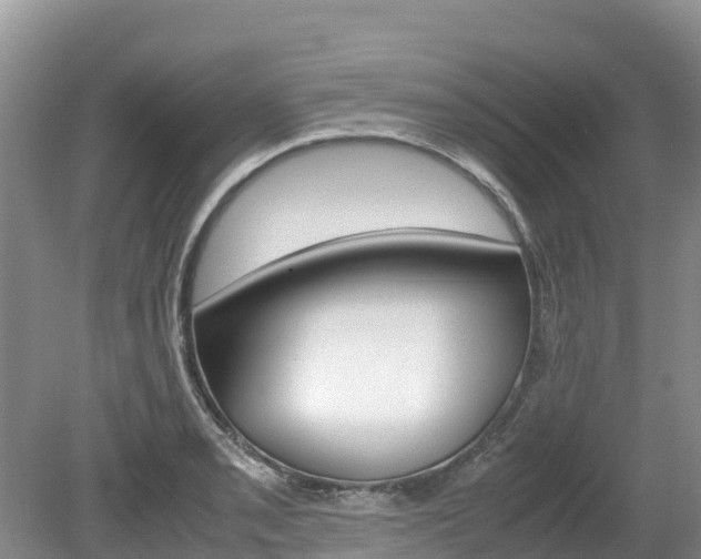 X0000080111085200612080949