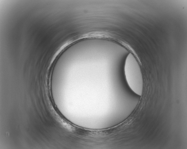 X0000080111091200612080949