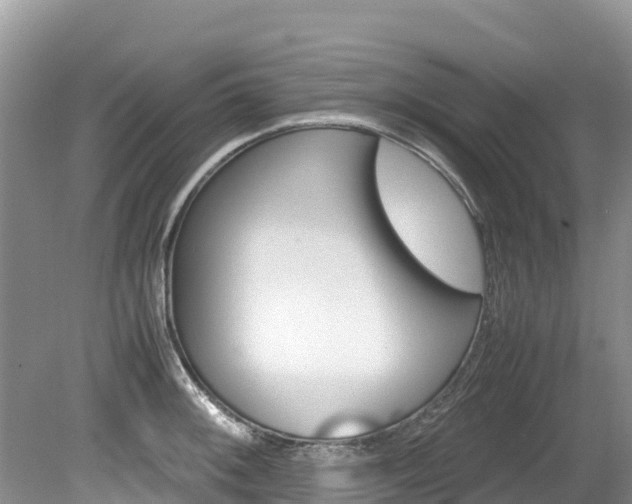 X0000080111092200612080949