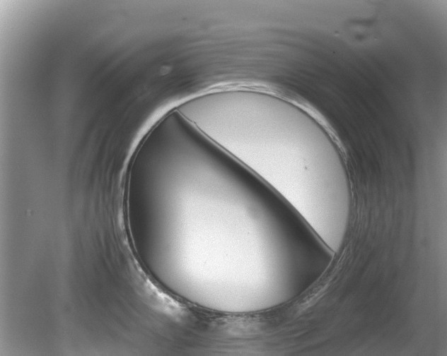 X0000080111102200612080949