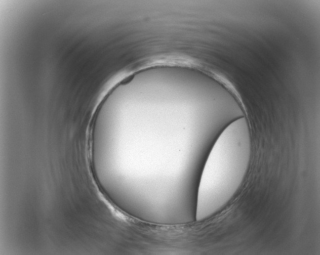 X0000080111103200612080949
