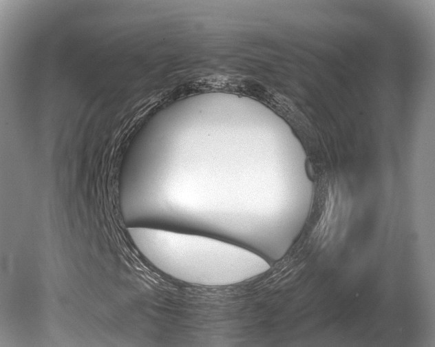 X0000080111105200612080948