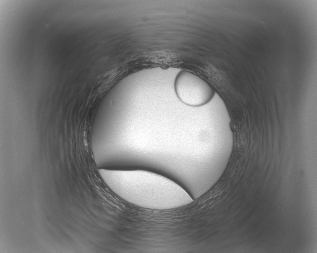 X0000080111106200612080948