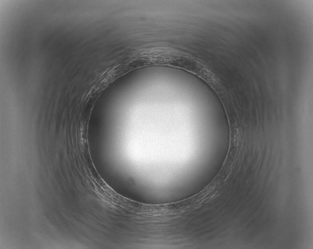 X0000080111108200612080948