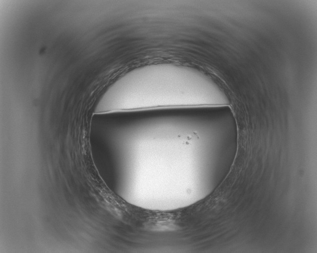 X0000080111111200612080948