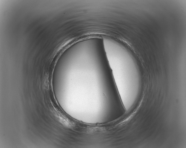 X0000080111113200612080948