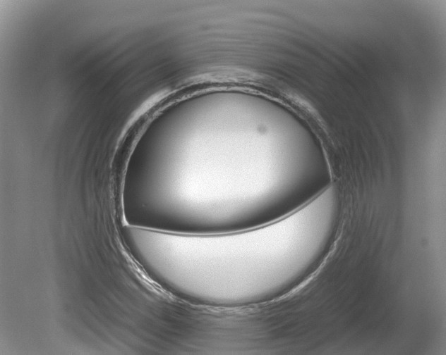 X0000080111114200612080948