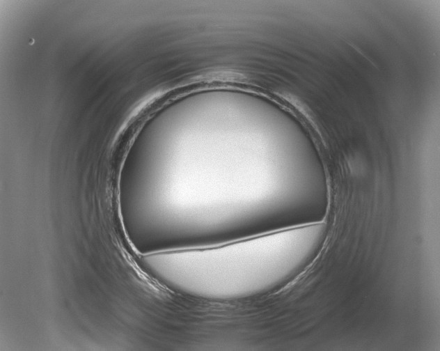 X0000080111115200612080948