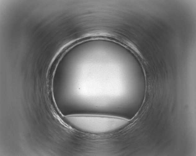 X0000080111116200612080948
