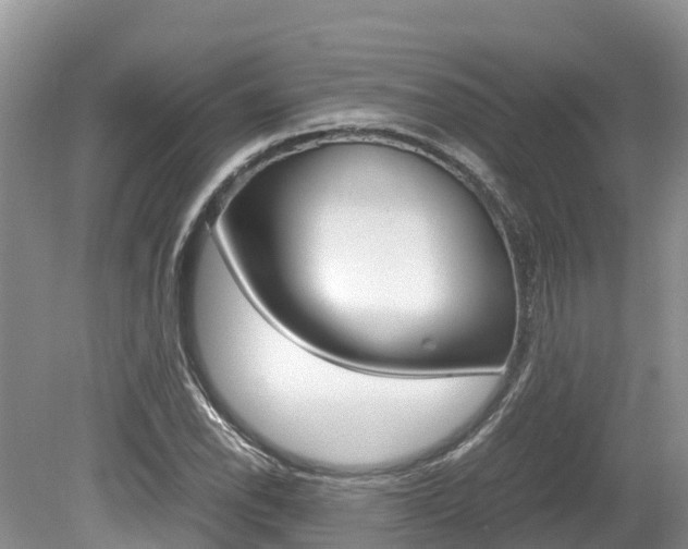 X0000080111118200612080948