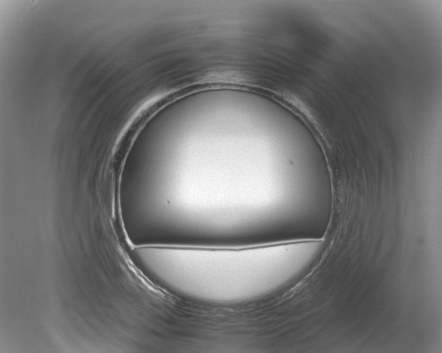 X0000080111123200612080948