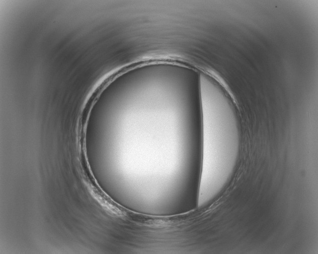 X0000080111124200612080948