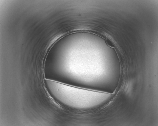 X0000080111129200612080948